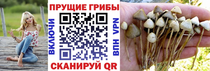 Псилоцибиновые грибы MAGIC MUSHROOMS  Хабаровск 