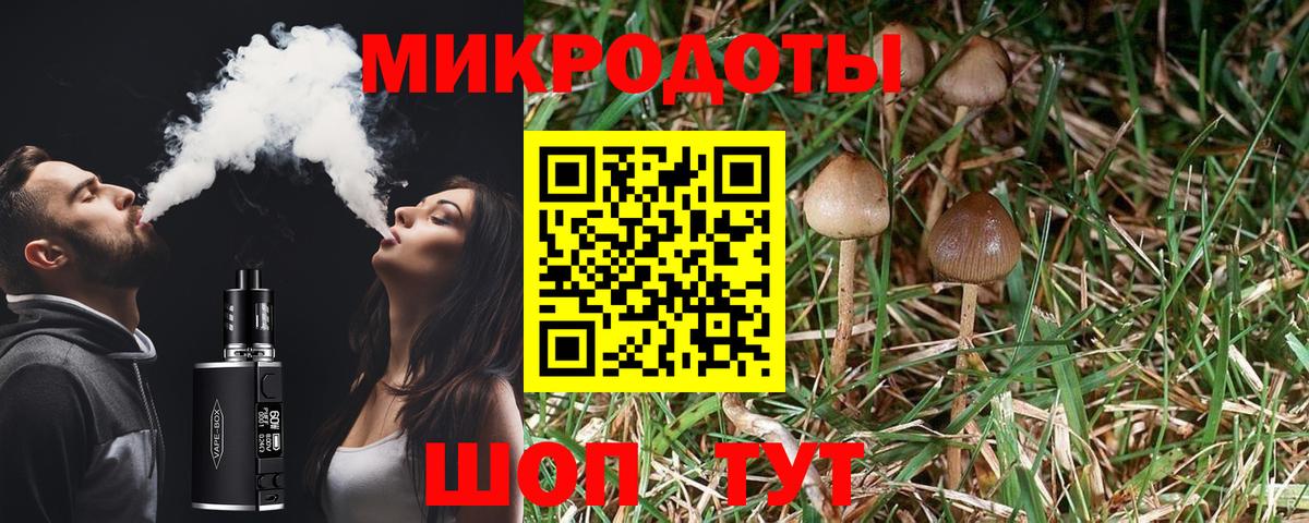 Псилоцибиновые грибы прущие грибы  Вход с VPN  Хабаровск  Галлюциногенные грибы MAGIC MUSHROOMS 