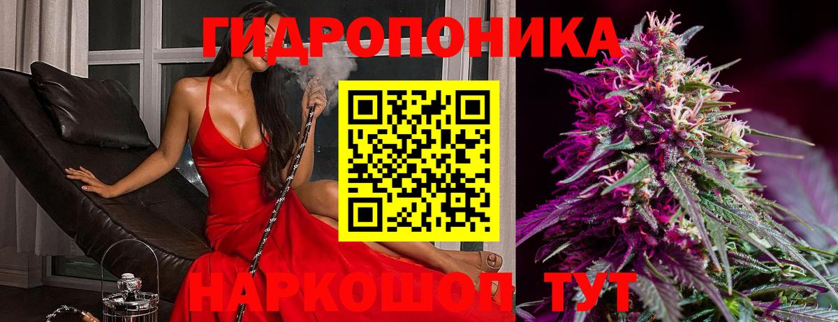 Каннабис сатива Хабаровск